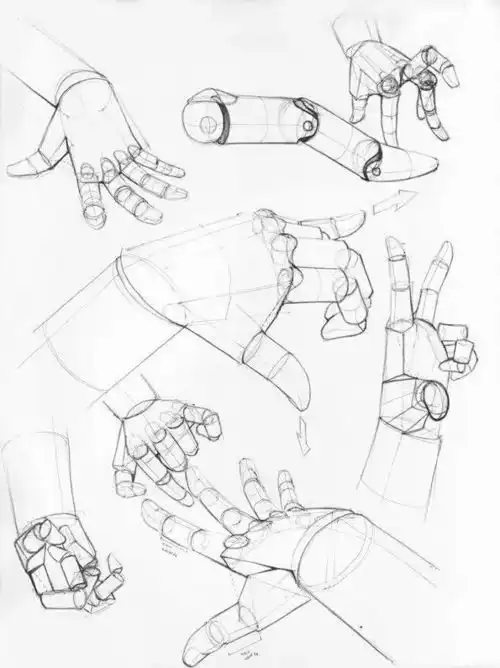  人体结构,学好素描速写最重要的素材收藏版