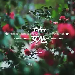  qq头像女生姓魏