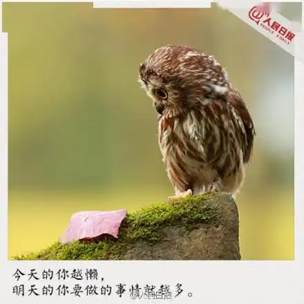 应该写在办公室墙上的九句话