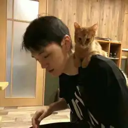  少点努力,多点作为.