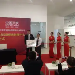  平安产险悦达和谐理赔定损中心盛大启航
