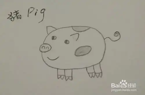 简笔画动物中国生肖猪