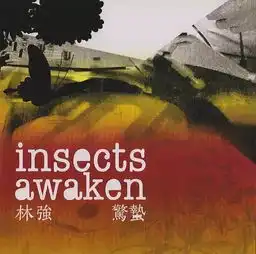  金马电影背后的音乐人林强曾经叛逆,浪荡匪帮,直到遇上侯孝贤
