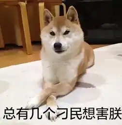  有一种狗叫柴犬,二货程度堪比哈士奇