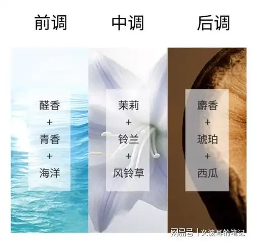 专业芳疗师告诉你,为什么拾觅护发精油的香味那么高级好闻