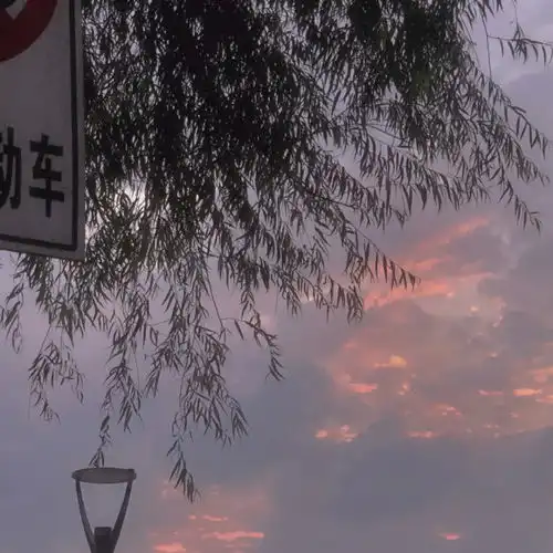  置顶很久的小众又高级的文案