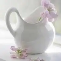  超好看的微信头像花带花瓶微信头像图片大全