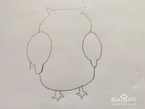 简笔画绘画猫头鹰