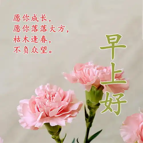  最新早上好阳光暖心祝福语一句早上好暖心的话