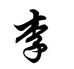  看看世界各国排名第一的姓氏是哪些