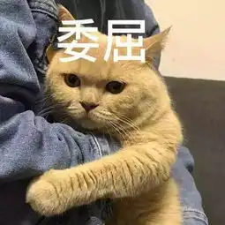  橘猫成名之路抵得住多深的诋毁,就受得起多大的赞美