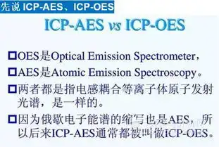  icpaesicpoesicpmsaas究竟有何区别