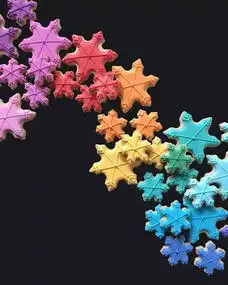  图像设计师做的饼干大赞