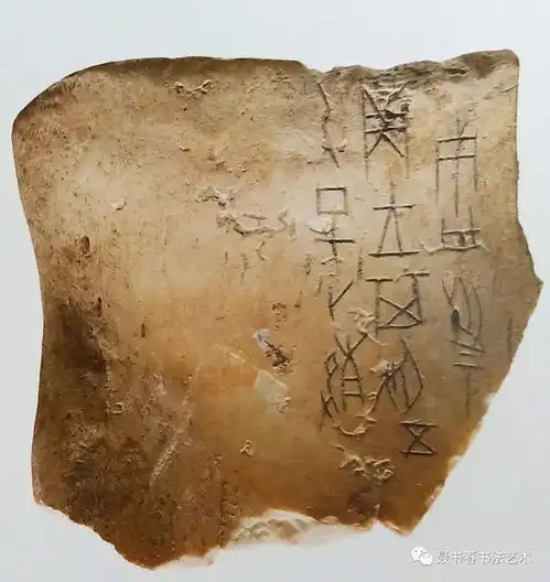  上海博物馆藏甲骨高清图片之一