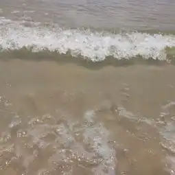 冷门的头像三门岛