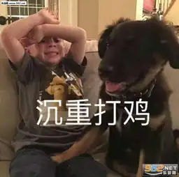  沉重打鸡表情包我要炸了表情包图片下载乐游网游戏下载