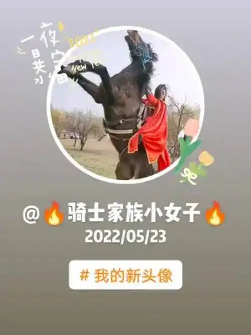  骑士家族小女子a20220523我的新头像