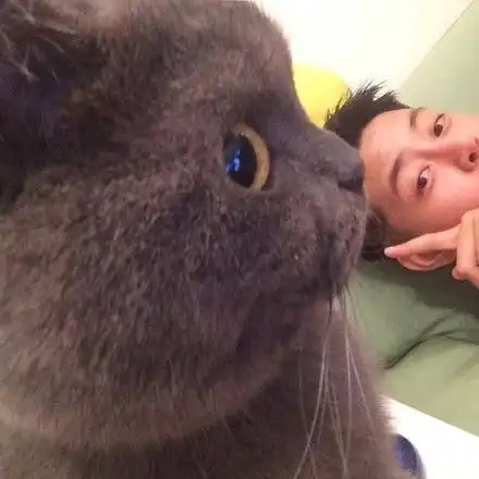 泡芙小姐和猫头像图片爆