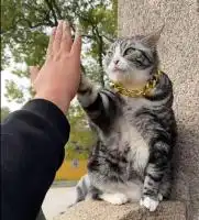  滚动