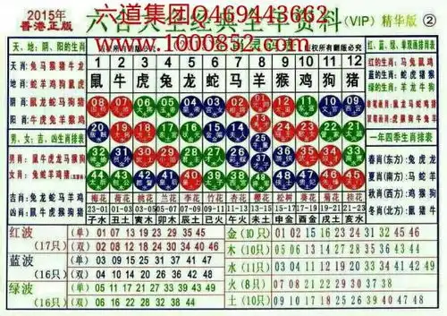 2023年生肖属性灵码表