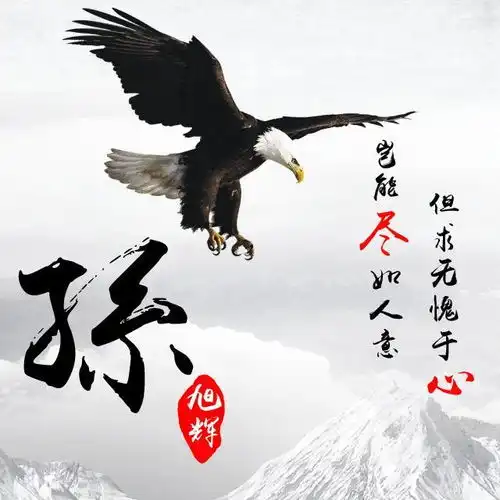  微信头像,姓氏头像,励志大鹏展翅精美设计,26个名字任你来取