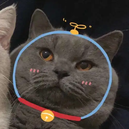  我们都不喜欢,千万不要在一起