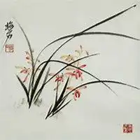  唯美好看月兰花微信头像微信头像图片大全