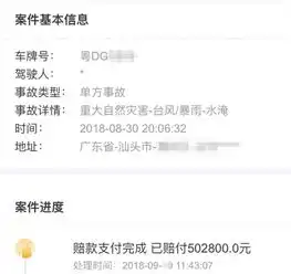  3.15调查案例二人人车上买到水泡车,249项检测是宣传