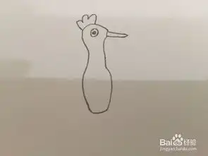  简笔画绘画孔雀