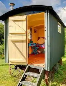  欧美女性流行在家里的后院建私人密室凤凰