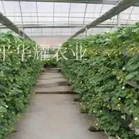  立体墙体