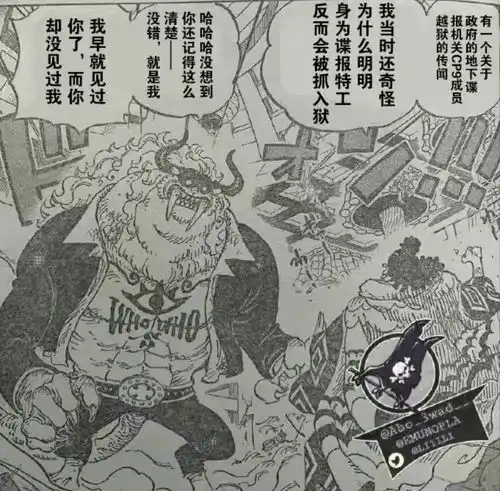  海贼王,尾田埋了1000话的伏笔公布,橡胶果实有巨大秘密