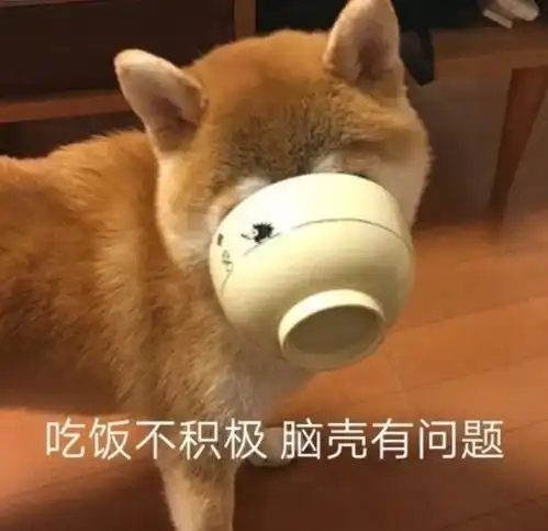  出国留学有哪些成本是没预料到的看到第5个我笑了...