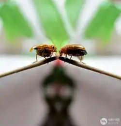  光影中国7月22日图片精选