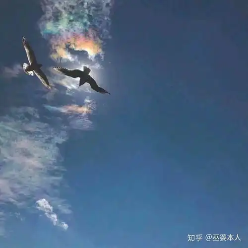  有没有在高处看着底下一群人的头像或者图片,鹤立鸡群高处不胜的意境的头像