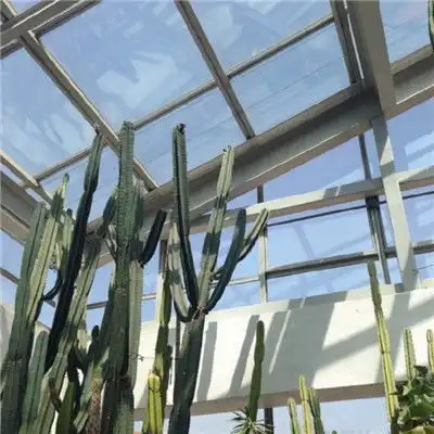  清新自然绿色植物头像精选2018好看的植物风景微信头像