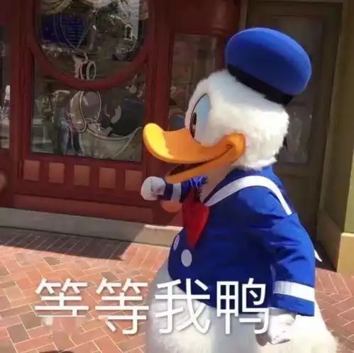  就是好玩又好看的朋友圈背景壁纸