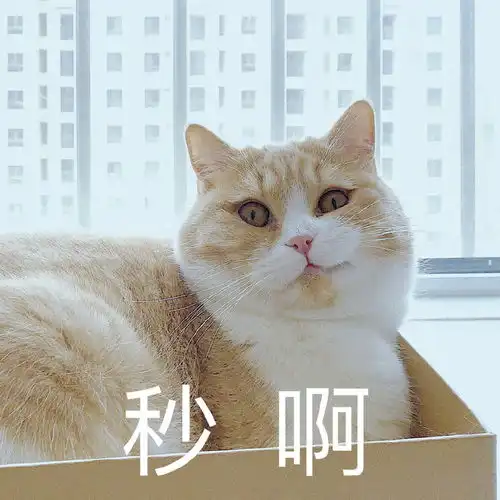  超搞笑的网易云热评