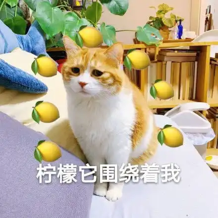  男朋友表弟居然是戳爷认识爱豆聚会逛街,偶像剧都不敢这么写