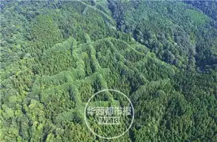  成都山区现神秘犇字形图案原因成谜组图