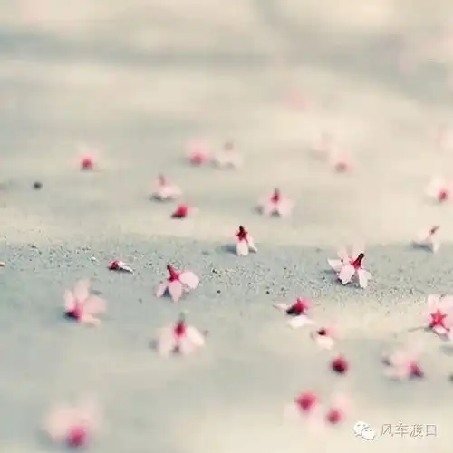  漫长的告别