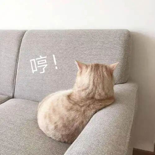 萌宠表情包老子的魂被突如其来的臀碾压了