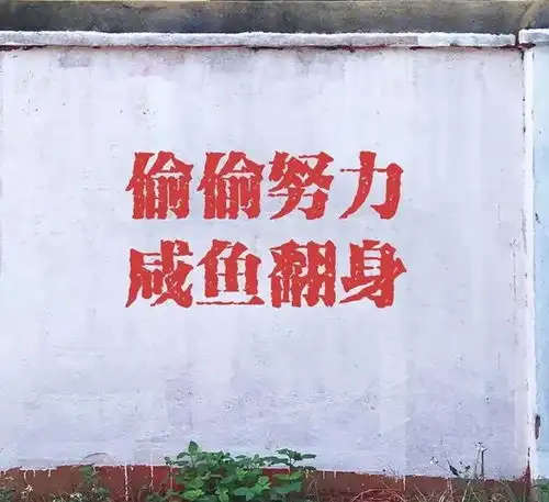  中医考研之中基部分规划详解五千字精品