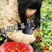  去摘草莓配图文字春天去摘草莓的配图微信头像图片大全