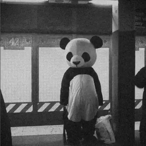  最新文案和背景图