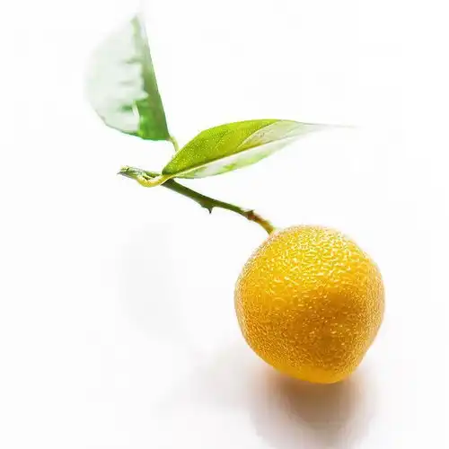  这个男神为什么全球最火
