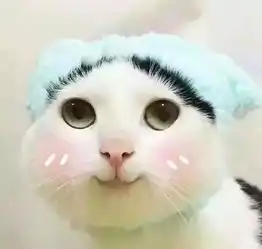  大家好我是......请多多指教