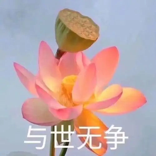 五好青年头像中老年