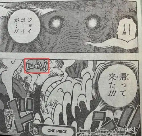  海贼王1043话汉化完整版观看地址海贼王1043漫画在哪看