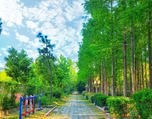 投票通道开启谁是你心中的唯一